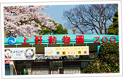 Zoo di Ueno