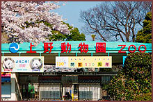 上野動物公園